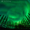 ICE15D8_1188