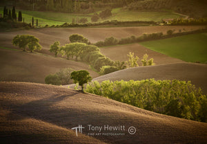 ITALY-006