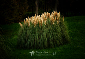 ITALY-028