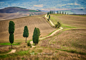ITALY-029