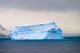 Antarctica Iceberg Penguins