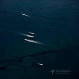 East West (ltd.ed)